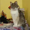 Отзыв от Инна Комарова